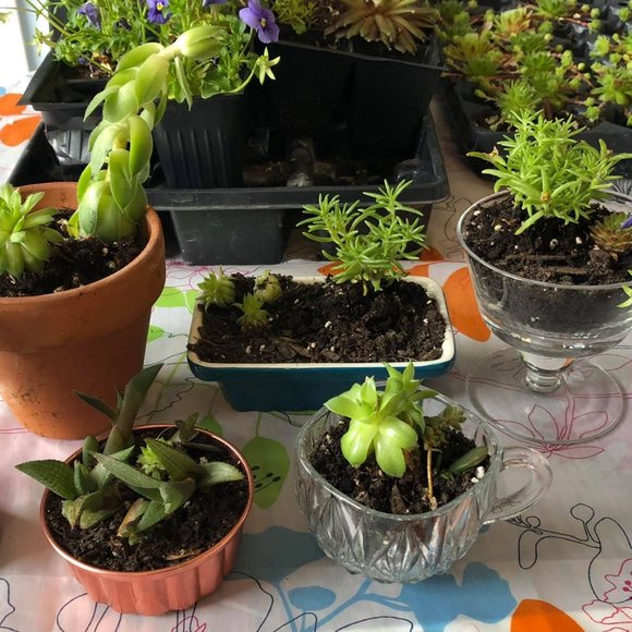 Meet your Posher, Jessica - Picture 3 of 4